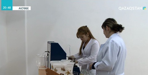 Ақтөбелік ғалымдар диатомитті өндірісте қолданудың бірнеше жобасын ұсынып отыр