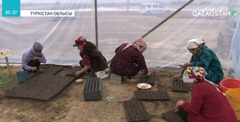 Диқандар мол өнім алуды жоспарлап отыр