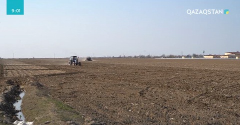 Мақтарал және Жетісай ауданының диқандары егістік алқаптың сорын шаю жұмысын аяқтады