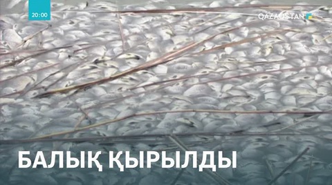 Ойылда балық өлекселері табылды