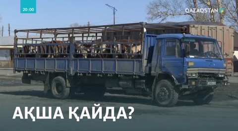 ШҚО: Шаруалар сатқан малының ақшасын ала алмай жүр