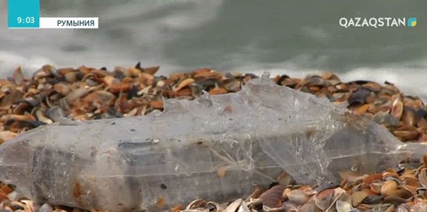 Румынияда жағалаудан 150 келі кокаин табылды