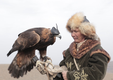 «Айтуға оңай...». Саятшылық өнер ме, әлде спорт па? (ВИДЕО)
