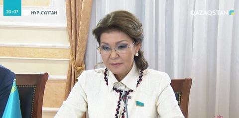 Сенат төрағасы Дариға Назарбаева А.Данканмен кездесті