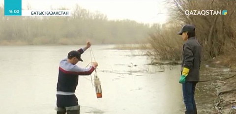 Жайық өзенінің сағасында мұнай қалдығы төгілгені анықталды