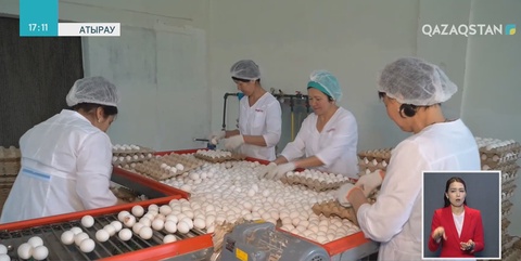 Атырау өңірінде құс шаруашылығы дамып келеді
