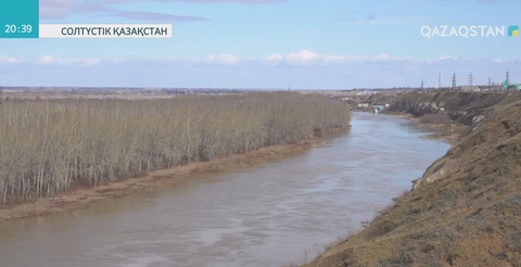Теріскейлік полицей өзіне қол жұмсамақ болған қызды құтқарып қалды