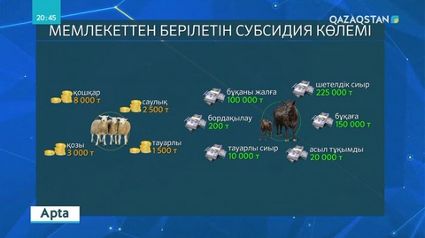 Елімізде қой шаруашылығы құлдырап барады