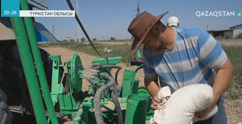 Түркістан облысында мақта егу науқаны 20 күнге кеш басталды
