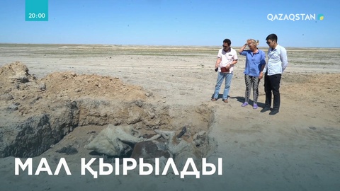 Атырауда жұқпалы аурудан мал қырылды
