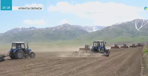 Алматы облысында көктемгі дала жұмыстары аяқталуға жақын