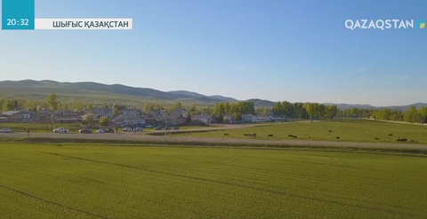 ШҚО-да ауыл тұрғындары малға жайылым қалмады деп алаңдайды