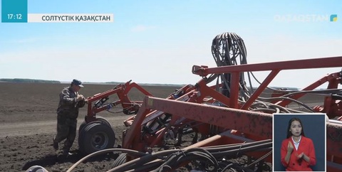 Теріскейлік диқандар былтыр  әлемнің 37 еліне жарты миллион тоннадан астам майлы дақылдар экспорттады