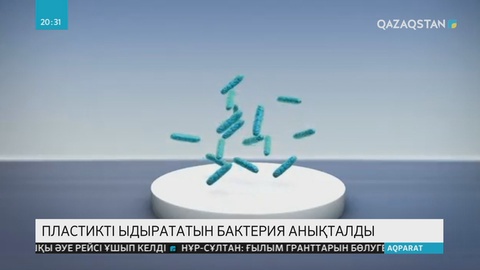 Грекия ғалымдары мұхитқа түскен пластикті жеп, ыдыратуға қабілетті бактерияларды анықтады
