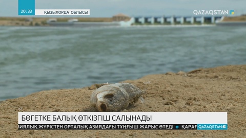 Көкарал бөгетіне гидро-акустикалық қондырғы салынады