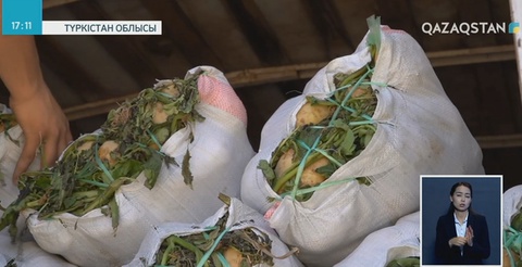 Түркістаннан елордаға азық-түлік керуені жөнелтілді