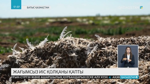 Оралда құс фабрикасынан тараған жағымсыз иіс қала тұрғындарының мазасын қашырды