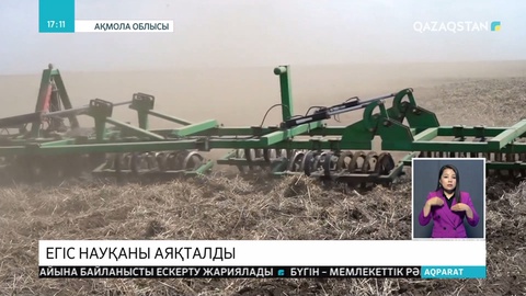 Ақмола облысында егін егу науқаны аяқталды