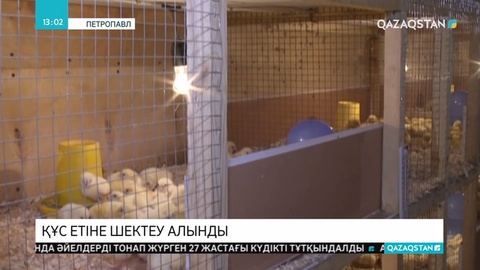 Ресей Федерациясы СҚО-дан жеткізілетін құс етіне шектеуді алып тастады