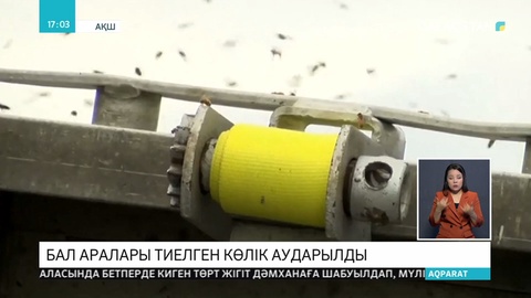 АҚШ-тың Монтана штатында бал аралары тиелген жүк көлігі аударылды