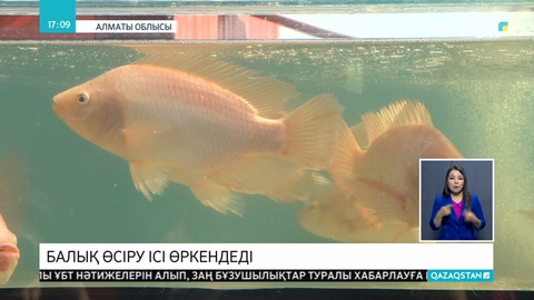 Елімізде балық шаруашылығына ерекше көңіл бөлінбек