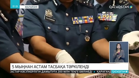 Малайзия полициясы ел астанасы Куала-Лумпурдың халықаралық әуежайында бес мыңнан астам су тасбақасын тәркіледі