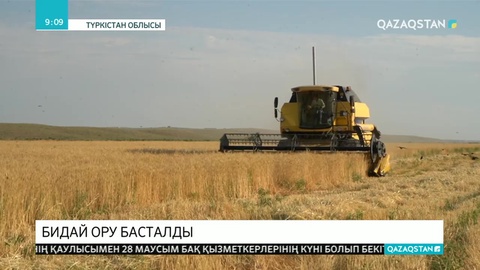 Бидай ору басталды