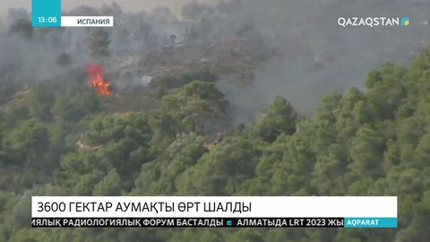Испанияда аптап ыстықтан 3600 гектар аумақты өрт шалды