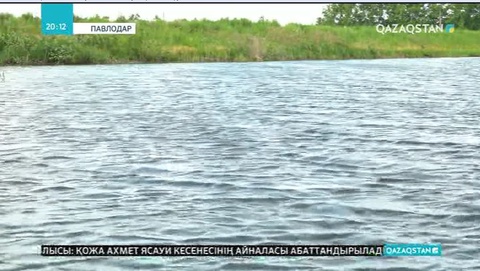 Павлодардағы балық өсірумен айналысатын жалғыз шаруашылық жабылуы мүмкін