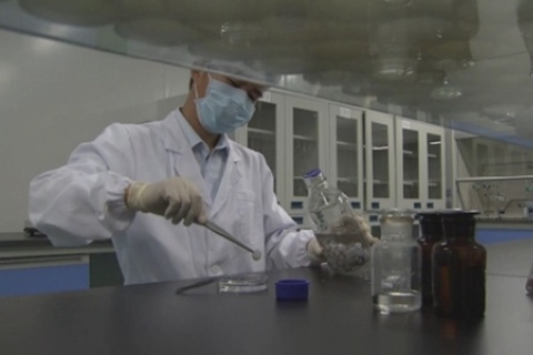 Қытай доңыздың көзін адамға салуды қолға алды