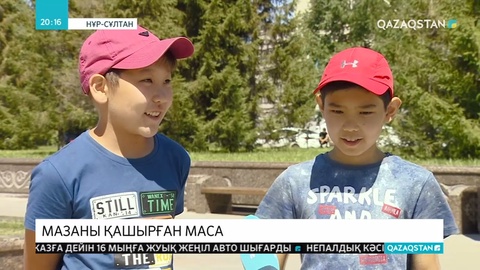 Биыл Нұр-Сұлтан қаласында масалар әдеттегіден көп