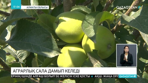 Алматы облысының Талғар ауданында аграрлық сала қарқынды дамып келеді