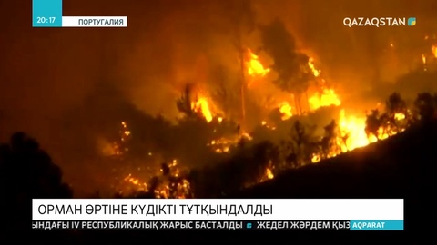 Португалияда 3000 га орманның жанып кетуіне күдікті адам ұсталды