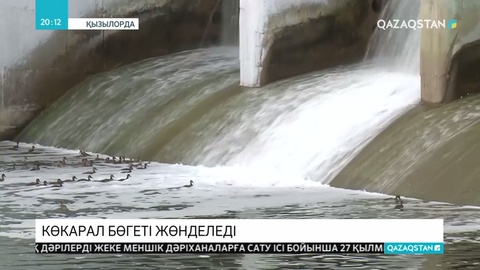 Арал теңізіндегі Көкарал бөгеті жөнделіп, балықты қорғайтын арнайы құрылғы орнатылады