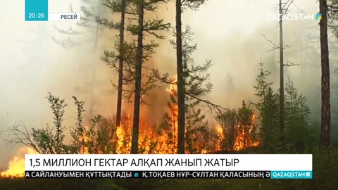 Сібірде орман өртінен миллион гектарға жуық алқап жанып жатыр
