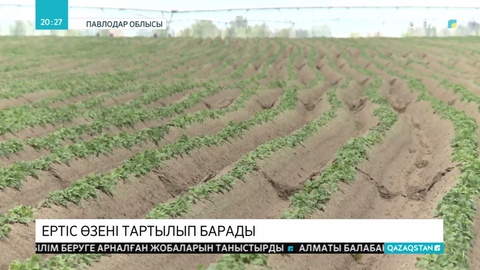 Ертістің суы тартылып барады