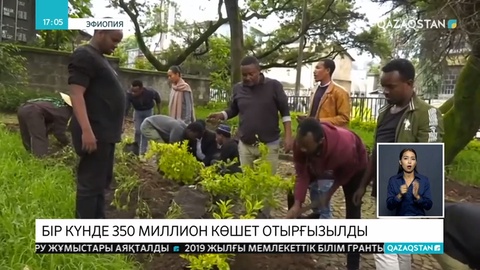 Эфиопияда бір күнде 350 миллион көшет отырғызылды