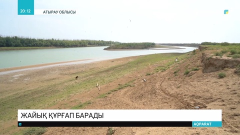 Жайық өзеніне қауіп төніп тұр