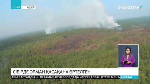 Сібірде ормандар қасақана өртелген