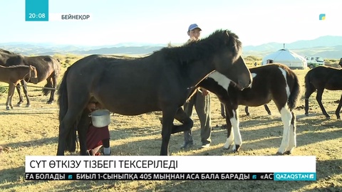 Сүт өнеркәсібі түгел тексерістен өтеді