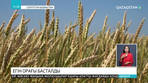 СҚО-да егін орағы басталды