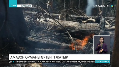 Амазон орманы өртеніп жатыр