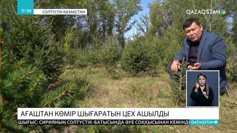 Теріскейде ағашты бір сәтте көмірге айналдыратын цех ашылды