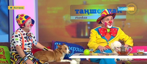 Астаналық цирк әртістері «Таңшолпанда» қонақта (ВИДЕО) 