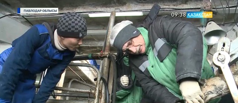 Германиялық ветеринар тәжірибесімен бөлісті