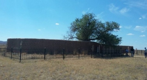 Әлихан Бөкейханұлының 111 жыл бұрын Бразилиядан әкеліп еккен ағашы (ВИДЕО)