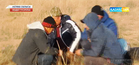 Ақтөбе облысында заңсыз саятшылық құрғандар ұсталды