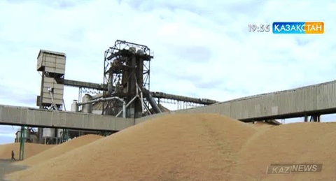 2016 жылғы жиын-терім маусымында 2 миллиард тонна бидай алынбақ