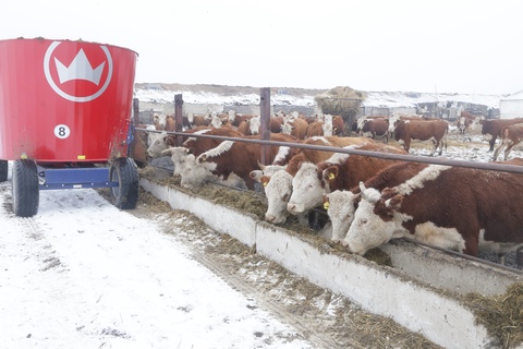 «Ырыс» бағдарламасы  арқылы  сүт фермаларын ашуға 157 млн теңге  бөлінген