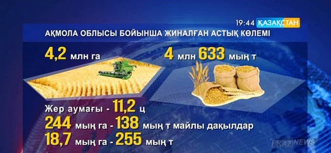 Ақмола облысында азық-түлік өндіретін 300-ден астам кәсіпорын жұмыс істеп тұр